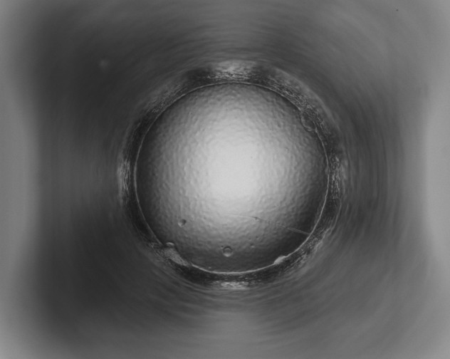 X0000102460649200808151408