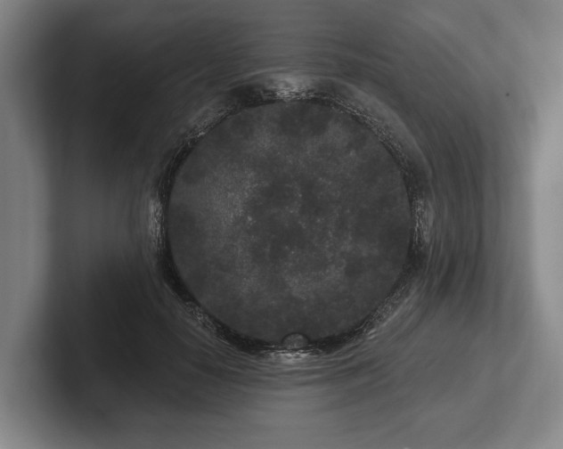 X0000102460650200808151408