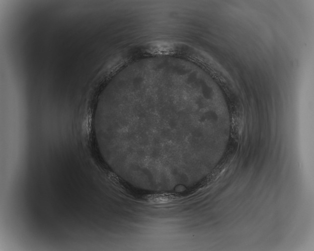 X0000102460652200808151408