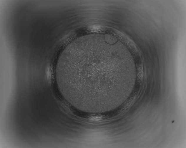 X0000102460653200808151408