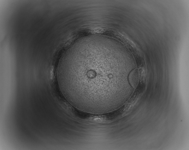 X0000102460655200808151408