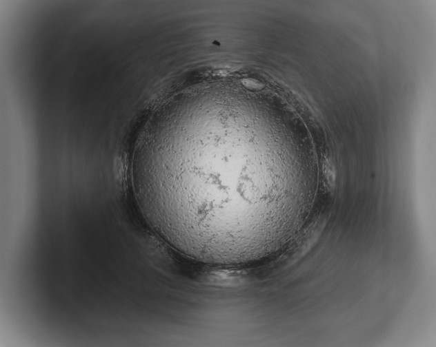 X0000102460657200808151408