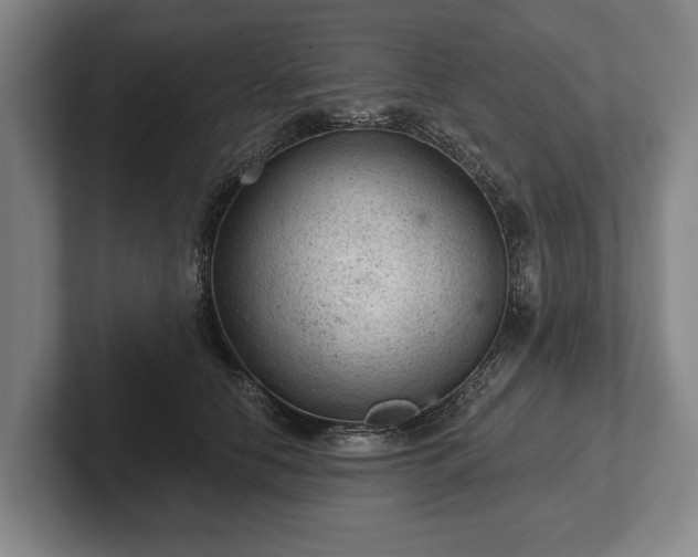 X0000102460658200808151408