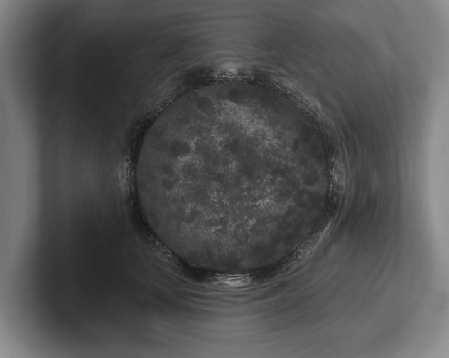 X0000102460659200808151408