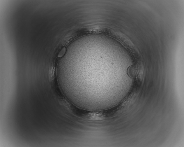 X0000102460660200808151408