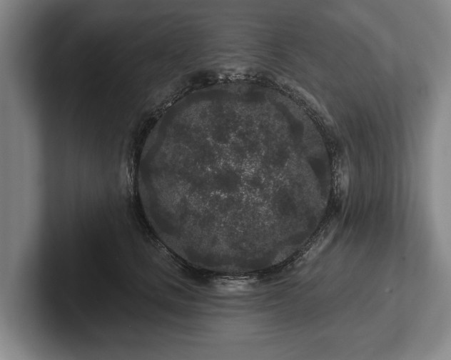 X0000102460661200808151408