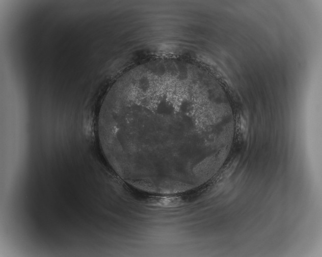 X0000102460663200808151408