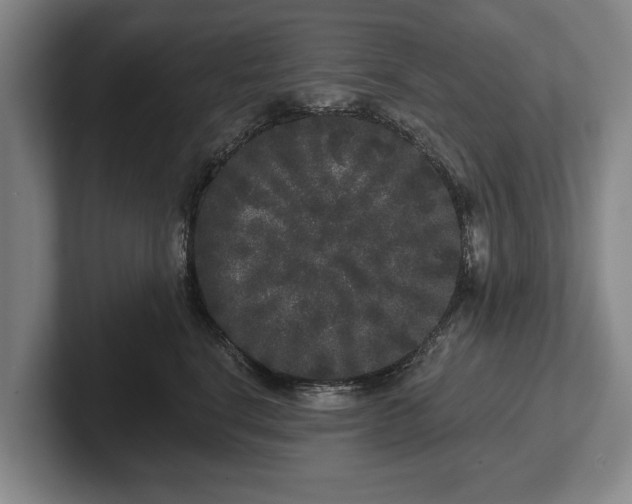 X0000102460664200808151408