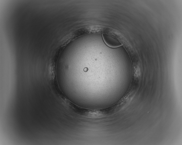 X0000102460666200808151408