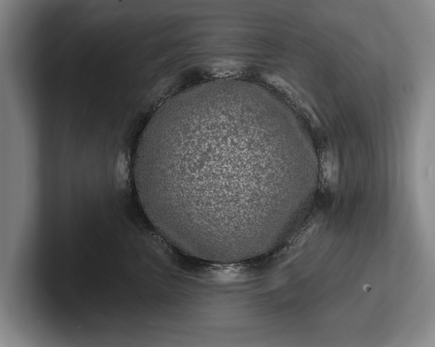 X0000102460667200808151408