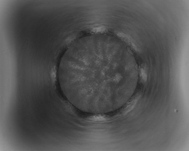 X0000102460668200808151408