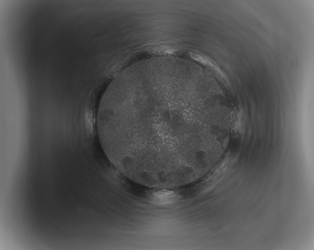 X0000102460669200808151408