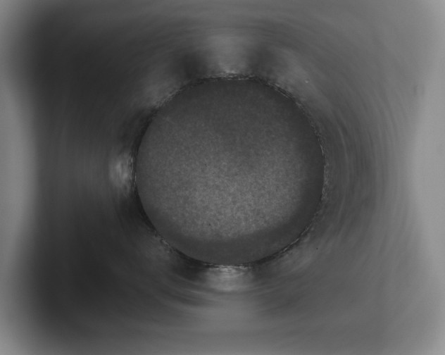 X0000102460672200808151408