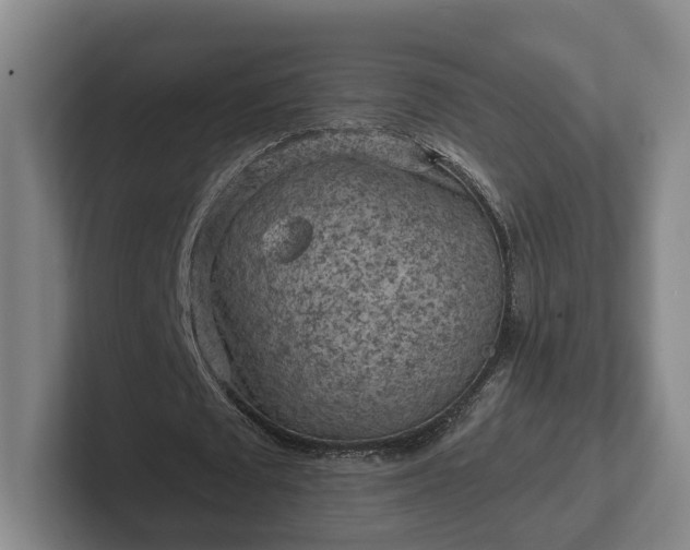 X0000102460673200808151408