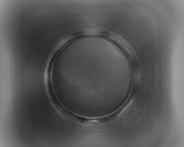 X0000102460674200808151408