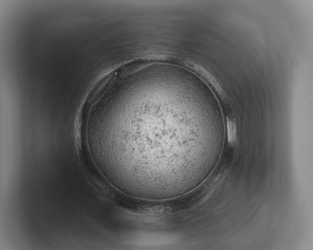 X0000102460675200808151408