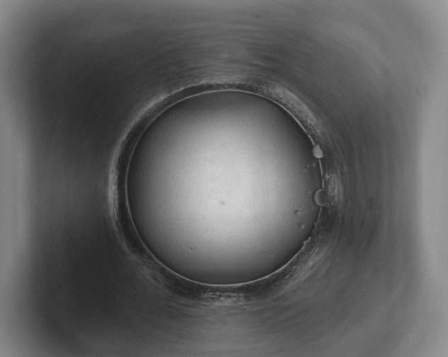 X0000102460676200808151408