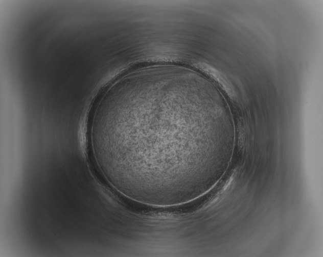 X0000102460677200808151408