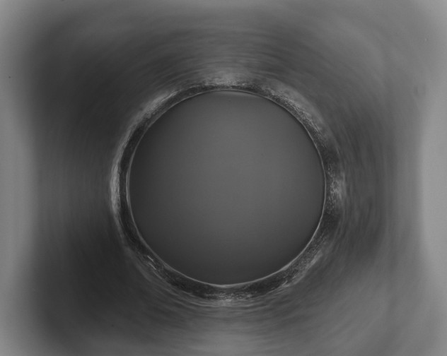 X0000102460678200808151408