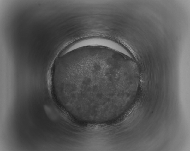 X0000102460679200808151408