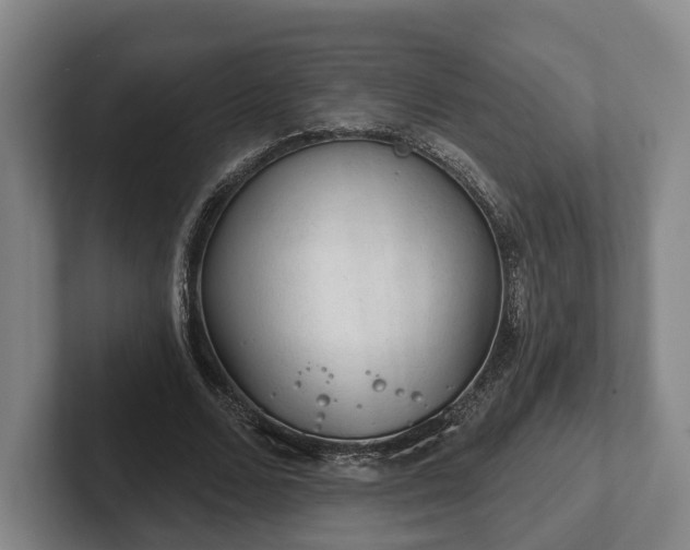 X0000102460680200808151408