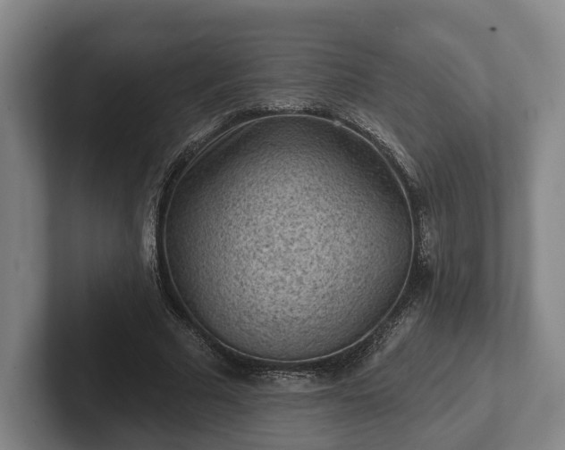 X0000102460681200808151408