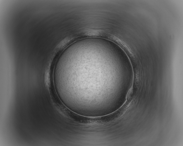 X0000102460682200808151408