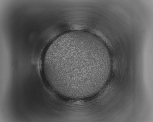 X0000102460683200808151408