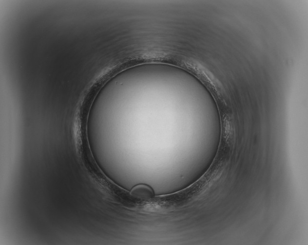 X0000102460684200808151408