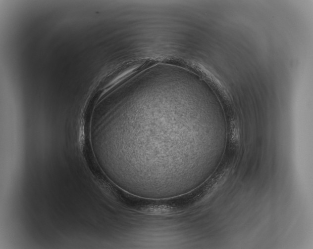 X0000102460685200808151408