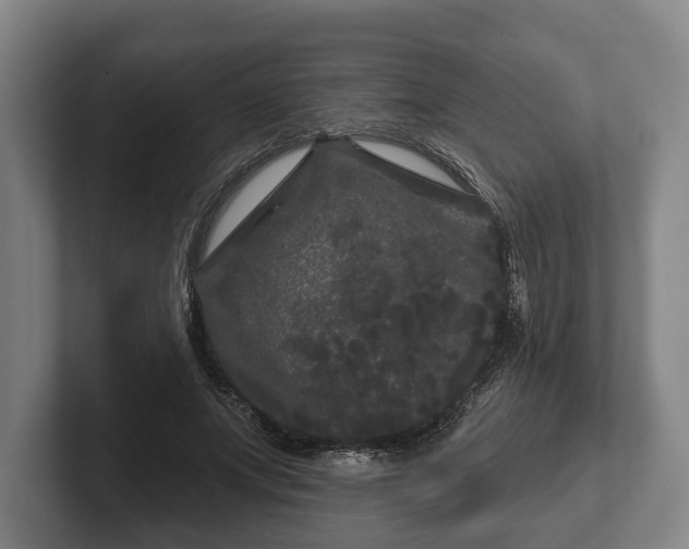 X0000102460687200808151408