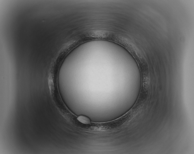 X0000102460688200808151408