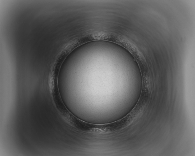 X0000102460690200808151408