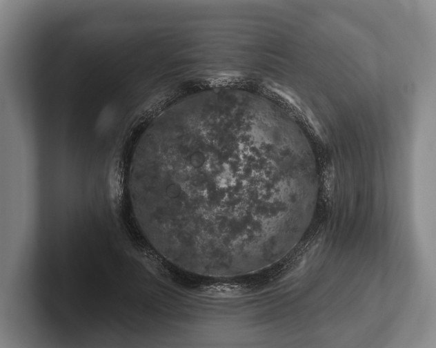 X0000102460691200808151407