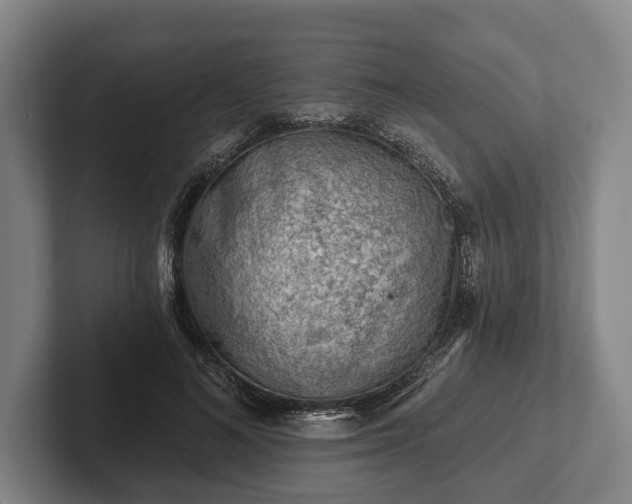 X0000102460692200808151407