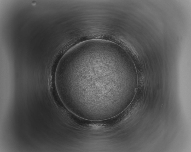 X0000102460693200808151407