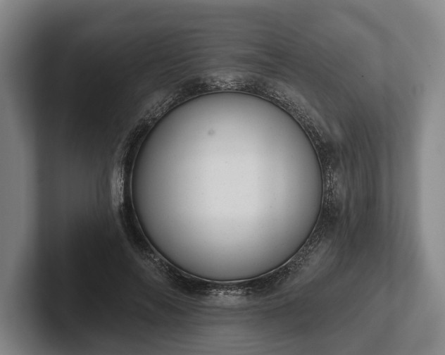 X0000102460694200808151407