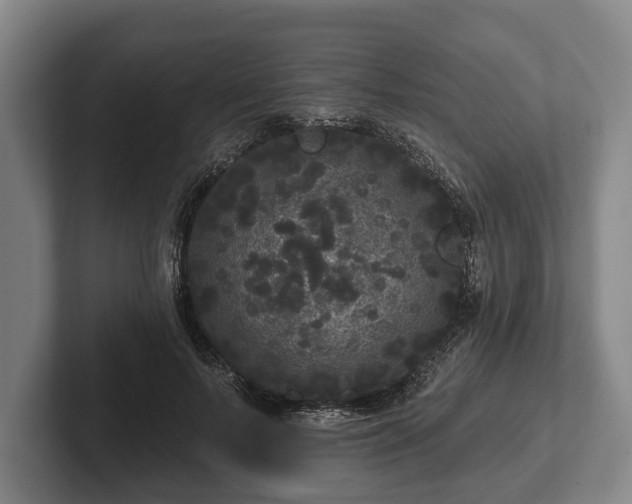 X0000102460695200808151407