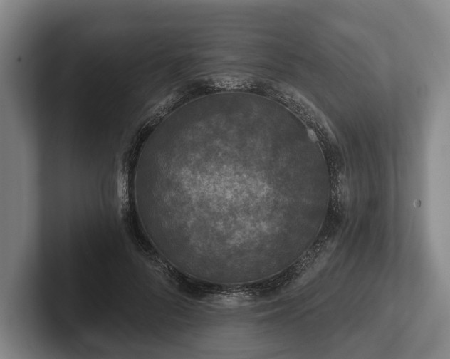 X0000102460696200808151407