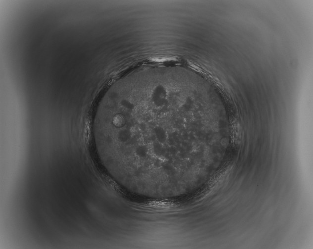 X0000102460699200808151407