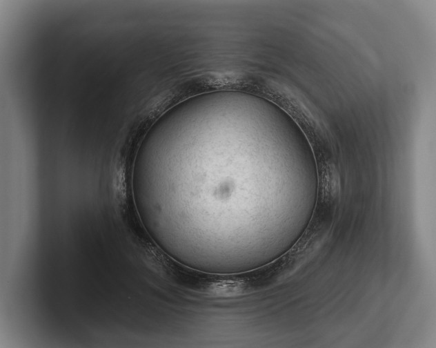 X0000102460700200808151407