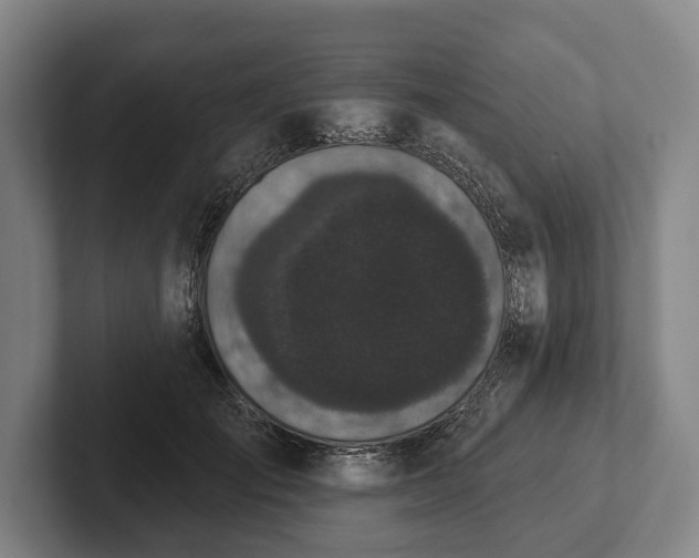 X0000102460701200808151407