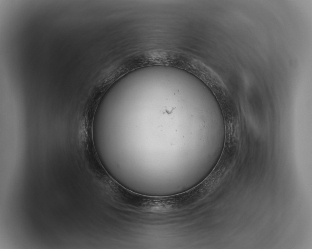 X0000102460702200808151407