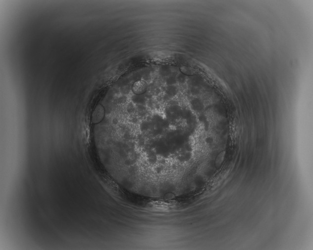 X0000102460703200808151407