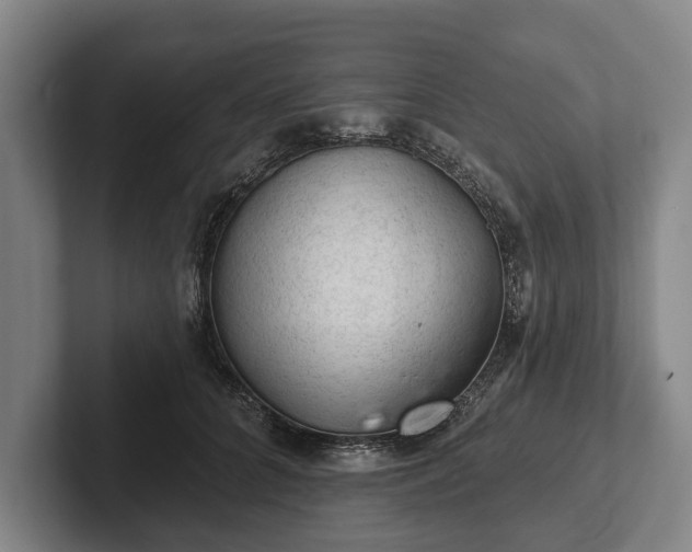 X0000102460704200808151407