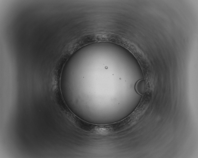 X0000102460706200808151407