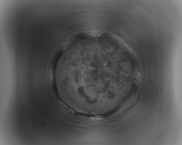 X0000102460707200808151407