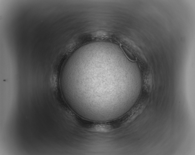 X0000102460708200808151407