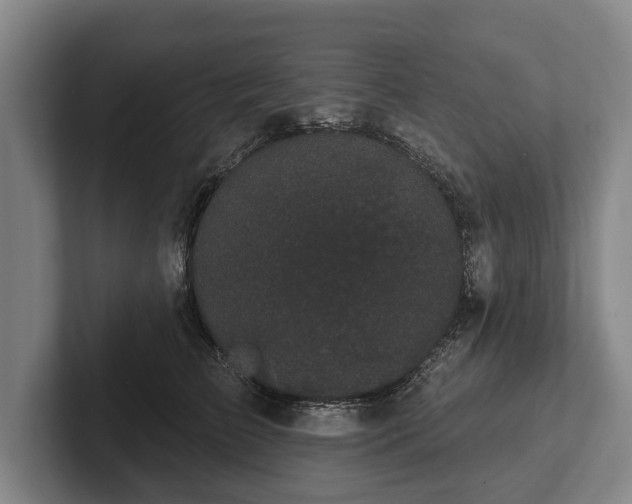 X0000102460709200808151407