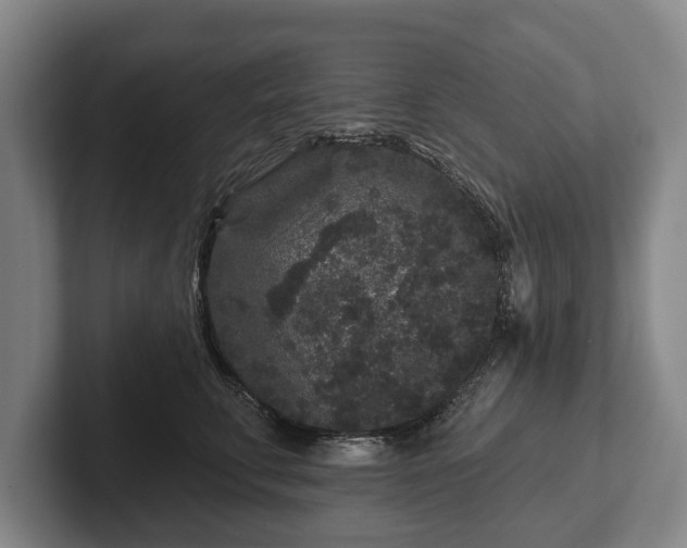 X0000102460711200808151407